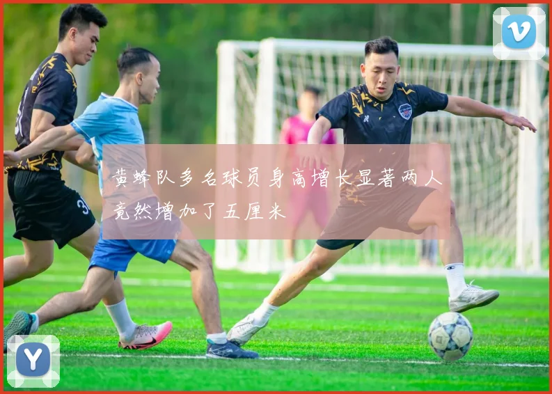 黄蜂队多名球员身高增长显著两人竟然增加了五厘米