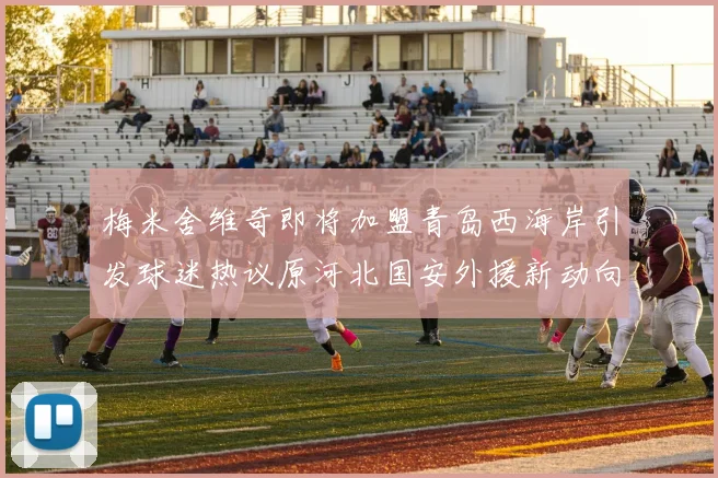 梅米舍维奇即将加盟青岛西海岸引发球迷热议原河北国安外援新动向