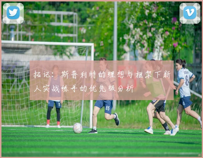 拓记：斯普利特的理想与框架下新人实战练手的优先级分析